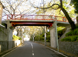 土木・建設　橋梁工事：桜橋