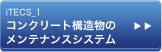 iTECS_1コンクリート構造物のメンテナンスシステム