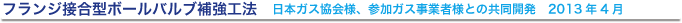 日本ガス協会様、参加ガス事業者様との共同開発　2013年4月