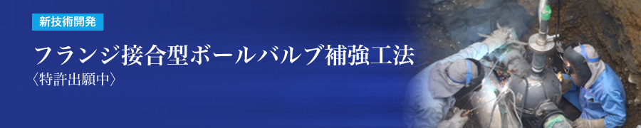 フランジ接合型ボールバルブ補強工法