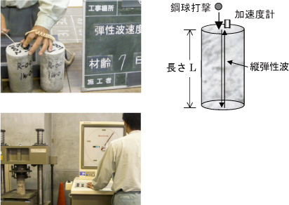 強度推定式設定